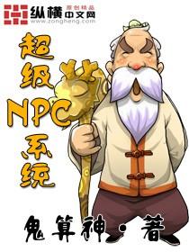 NPC系统类