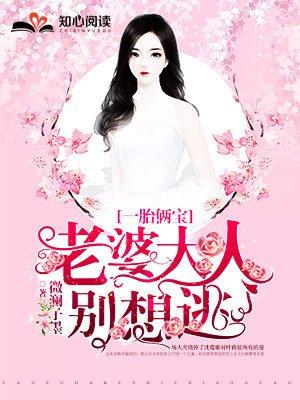 一胎俩宝老婆大人别想逃全文免费阅读880