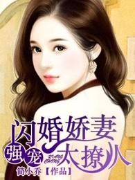 闪婚娇妻太迷人简小乔f