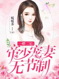 一婚二宝 帝少宠妻无节制