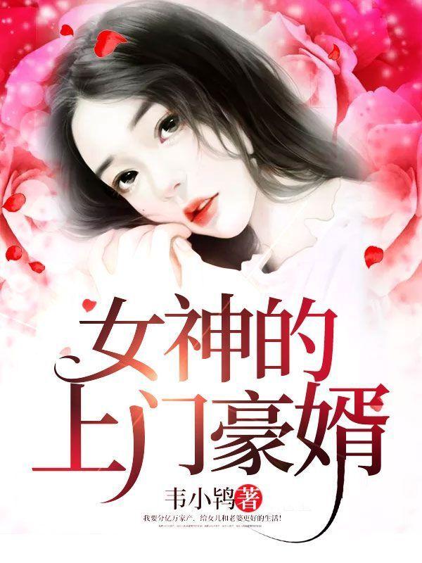 女神的上门豪婿txt韦小鸨