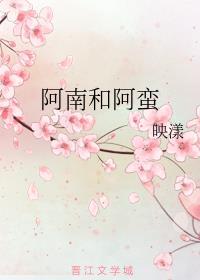 阿南和阿蛮讲什么