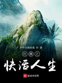 红楼之快活人生写得怎么样