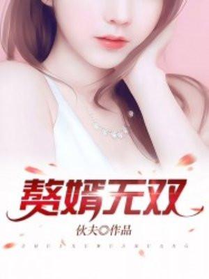 赘婿无双主题曲