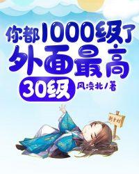 你都1000级了外面最高30级漫画名字