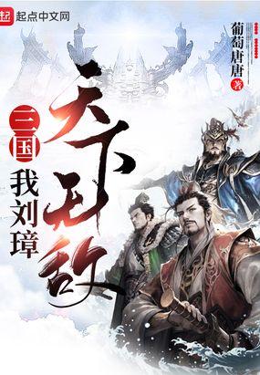 三国我刘璋天下无敌T