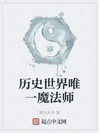 历史世界唯一魔法师作者第九天命