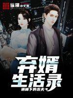 弃婿当道无弹窗