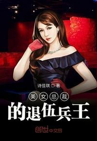 美女总裁与王遁一共多少集