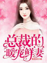 总裁的隐婚暖妻完整版