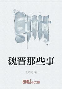 魏晋讲了什么