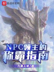 npc领主的称霸指南