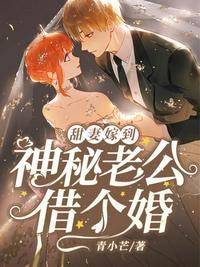 神秘老公借个婚全文免费