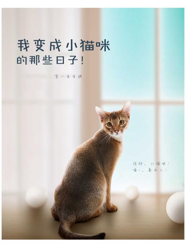 我变成小猫咪的那些日子免费阅读