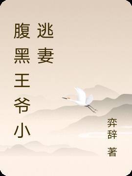 妃藏空间腹黑王爷小逃妻TXT