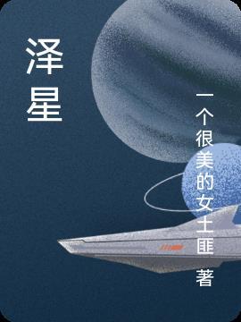 泽星禾(北京)北京出行科技有限公司