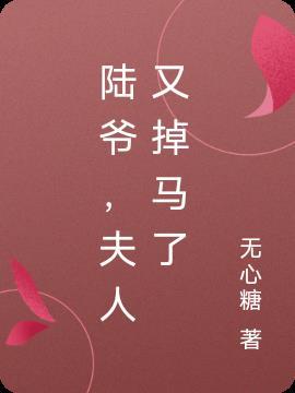 夫人又掉马了免费阅读