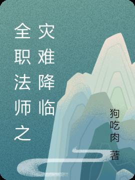 全职法师博城灾难多少集