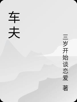 车夫网物流有限公司