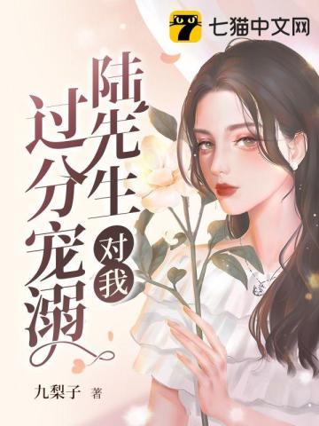 陆先生 宠妻无度