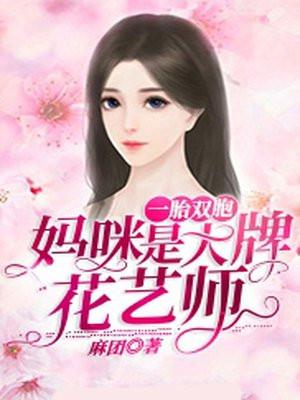 一胎双宝妈咪你马甲