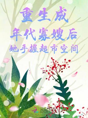 女主重生为寡妇的年代文