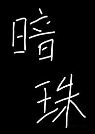 暗珠泪弹是什么数字