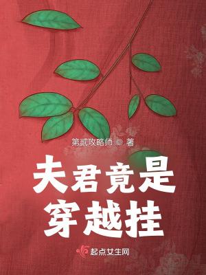 穿越嫁给四个夫君全文免费