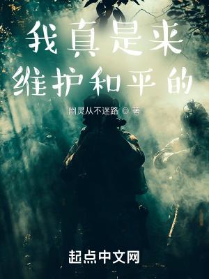 我真是来维护和平的八一