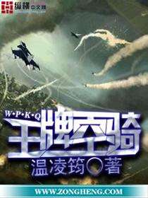 王牌空骑2