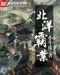 北洋霸业作品大全