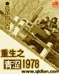 重生之大时代1977