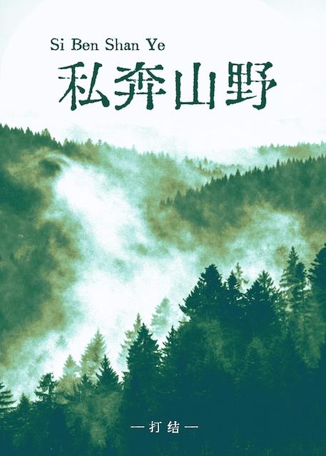 私奔山野讲的什么