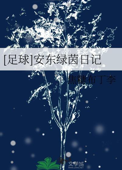 足球安东绿茵日记免费