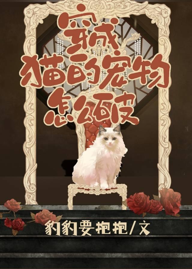 变成猫肿么破