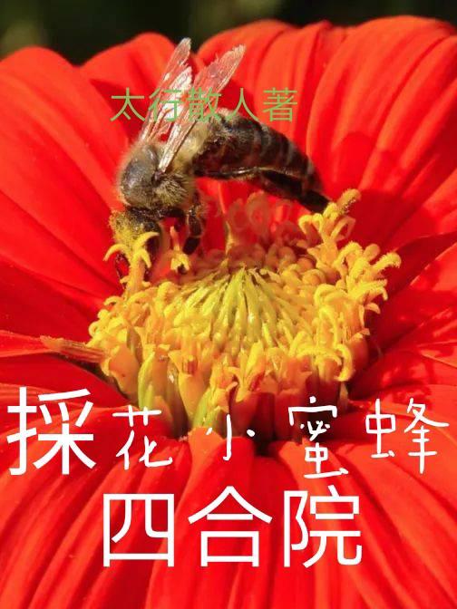 小蜜蜂采花蜜动画片