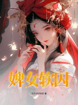 婢女皇妃