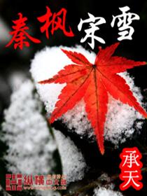 秦枫唐雪