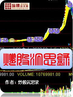 股票投资沉思录