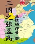 三国之大将张合