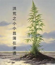 截教第一仙青山