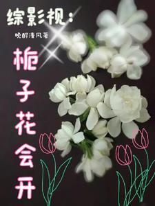 综影视花楹