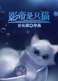 影帝是只猫全文免费阅读