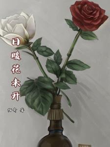 菊暖花未开什么意思