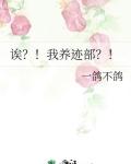 诶我养迹部全文免费