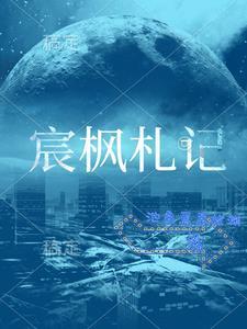 枫宸文化传媒有限公司