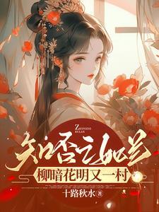 知否之如兰传