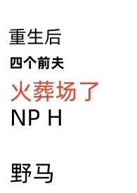 重生后四个前夫火葬场了(NPH)野马