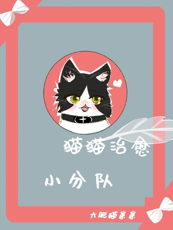 治愈小猫咪