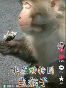 变成猴子的王子这个故事告诉我们什么道理